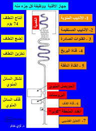 طبيب الوب اسئلة القراء حول السائل المنوي د لؤي خدام