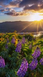 Looking for the best full hd widescreen hot wallpapers? Full Screen Hd Wallpapers 80 Background Pictures