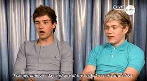 Jul 11, 2021 · liam payne and maya henry. Liam Payne Quote About Turtles Gifs Foot Cq