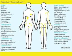 Endometrioza este, de multe ori, o afectiune dureroasa, care inseamna. Endometrioza Objawy Diagnoza Leczenie Endometriozy Poradnikzdrowie Pl