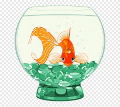 Misteriilahi #huricoffee #herrucoffee pohon ajaib berdaun mas cast penty nur'afiani afdhal yusman pohon ajaib berdaun. Kartun Ikan Mas Ikan Binatang Fotografi Png Pngegg