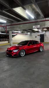 Image result for Velvet Red 2017 Vito