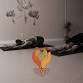 Grounded in Gratitude Wrap-Up Class event image