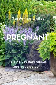 Maybe you would like to learn more about one of these? Gardening While Pregnant Garden Tasks Citrus Plant Garden Helpers