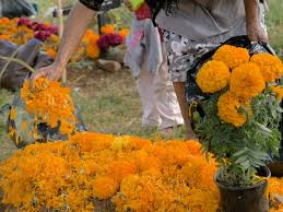 The dead man insulted her on the bus on the way into town. Day Of The Dead Has Created A Booming Business For Flowers Growers