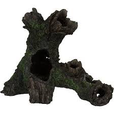 Marine plants enhance the natural atmosphere of their tank and added decor provides a safe retreat. Amazon Com Petco Large Tree Log Aquatic Decor Pet Supplies