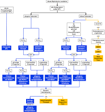 Https Www Dgho De Publikationen Stellungnahmen Fruehe Nutzenbewertung Gemtuzumab Ozogamicin Gemtuzumab Ozogamicin Dgho Stellungnahme 20181224 Pdf