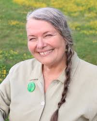 Janine Gibson (politician)