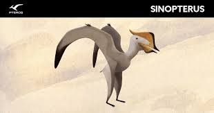 Image result for Sinopteridaceae