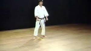 Shotokan karate is comprised of 26 katas, each with their own emphasis on fast and slow or controlled and powerfull movements. 26 Shotokan Karate Katas From White Belt To Black Belt Youtube