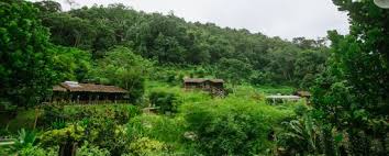 Others demand the improvement of basic infrastructure in the. Looking For An Eco Friendly Resort In Malaysia This Should Be The First One On Your List Review Of Adeline Villa Rest House Gopeng Malaysia Tripadvisor