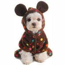 Hello Can T You See I M Dressed In This Ridiculous Costume Well If You Do Save Me Puppies In Pajamas Bear Dog Dog Coats