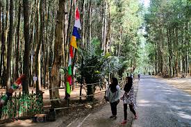 Search the world's information, including webpages, images, videos and more. Hutan Pinussari Potensi Wisata Lingkungan