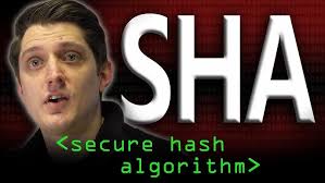 Hashing Algorithms and Security