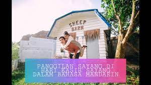 Intinya, bahasa cinta hadir begitu luas dan mampu hadir sebagai referensi untuk mengungkapkan pada kekasih. Panggilan Sayang Alay Dalam Bahasa Mandarin Youtube