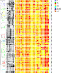 graphical representation heat map of different