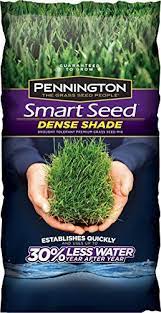 Plants Seeds Best Grass Seed Grass Seed For Shade Shade Grass
