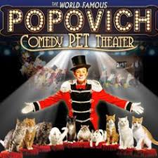 The best part about visiting a vegas show is there's no telling what you'll see or experience, and remember, what happens in vegas stays in vegas. 21 Las Vegas Comedy Shows And Clubs Ideas Best Comedy Shows Vegas Comedy Shows Comedy Show