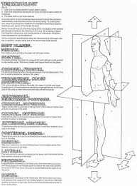 Anatomical Body Planes And Directional Terms Body Systems Worksheets Human Body Systems Body Systems