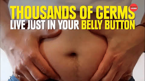Belly Button Clips - Find & Share on GIPHY