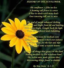 History Of The Sunflower Nature Poems Nature Poem Famous Poems Poems