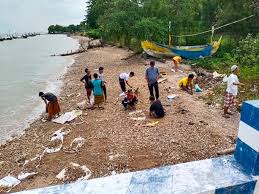 We did not find results for: Iksaputra Pasang Batu Kerikil Di Maqbaroh Kiai Ilyas Pp Annuqayah Lubangsa