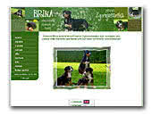 Usda licensed commercial breeders account for less than 20% of all breeders in the country. Grosser Schweizer Sennenhund Great Er Swiss Mountain Dog Breeders And Kennels Eurobreeder Com