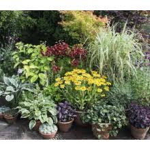 Pages media tv & movies tv show mdr garten videos eine rasenkante setzen. Mdr Garten Unsere Stauden Ideale Wegbegleiter Durch Das Gartenjahr Schone Horst Amazon De Bucher