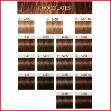 Black And Gold Braiding Hair Color Chart Igora Hair Color Shades Igora Hair Color Shades 621277 Schwarzkopf Igora Royal True Chocol Schwarzkopf Hair Color Igora Hair Color Schwarzkopf Hair Color Chart