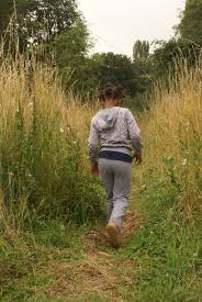 Discover everything you need to know about forstbotanischer garten & friedenswald—a hiking attraction recommended by 215 people on komoot—and browse 98 photos & 7 insider tips. Kinder In Finkens Garten Finkens Garten