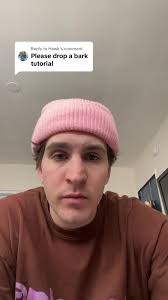 Replying to @Hawk realistic dog bark tutorial #pov #fyp #impressions  #dogbark