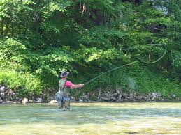Fly fishing is fun and can be easy to learn, so don't let a few unfamiliar fishing terms intimidate you. Fly Fishing Wikipedia