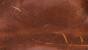 Leather Scuff