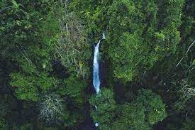 Untuk dapat sampai ke curug berjalan kaki dari tiket masuk ke lokasi wisata dengan berjalan kurang lebih 1 km. Curug Tujuh Cibolang Harga Tiket Masuk Spot Foto Terbaru 2021