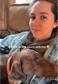 crazy part is we were all super comfortable 🤣 #gsp #germanshorthairpointer  #germanshorthair #germanshorthairedpointer #huntingdogs #huntingdog  #blackbarnkennels #gspbreeder #dogsofinstagram #gspnation ...