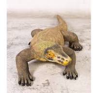 H-120001 Komodo Dragon - Komodovaraan