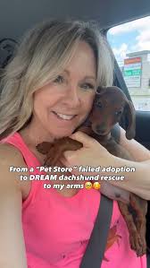Heartbreaking that Pet Stores even exist in 2025😢😭2 other dachshunds  still there and so many chihuahuas bulldogs and frenchies a horrible life  for those puppies. #puppy #rescue #dachshund ...