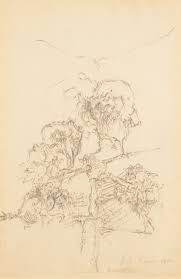 Bildergebnis für Roel D'Haese