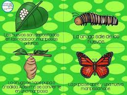 Pin En Mi Preescolar