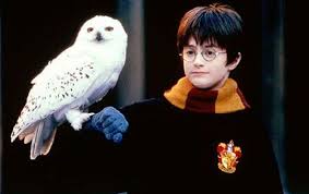 See if you can spot where, in harry potter and the chamber of secrets , arthur weasley's baby blue flying ford anglia lands on the viaduct. How Long Would It Take To Watch All The Harry Potter Movies A Spellbinding Marathon