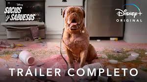 Maybe you would like to learn more about one of these? Socios Y Sabuesos Trailer Oficial Disney Youtube