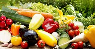 Kleingartner Als Schwerkriminelle 25 000 Euro Strafe Fur Den Anbau Alter Obst Und Gemusesorten Obst Und Gemuse Gemuse Anbauen Obst