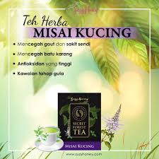 Orthosiphon stamineus, benth/ orthosiphon aristatus pengenalan pokok misai kucing ialah pokok herba renek tropika daripada keluarga lamiaceae yang terdapat di malaysia. Suzyhoney Herbs Lagi Khasiat Misai Kucing Untuk Facebook