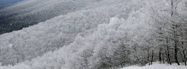 Maybe you would like to learn more about one of these? Sharon Pathfinders Snowmobile Trails In Upstate Ny