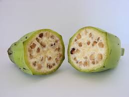 Here S What Fruits And Vegetables Looked Like Before We Domesticated Them Fruits And Veggies Eat Fruit Genetically Modified Food