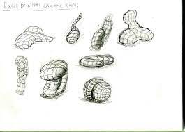 Use curved, straight and zigzag lines. Basic Primitives Organic Shapes Paldinchronicles