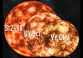 Uy scuti is a red supergiant star located in the constellation scutum. Category Uy Scuti Wikimedia Commons