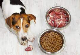 Protein Sources For Dogs Lovetoknow