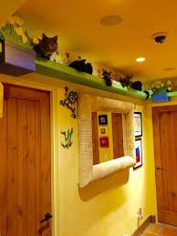 Check spelling or type a new query. Zen By Cat House Of Nekko Catwalks