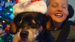 Fundraiser for Lee Anne Duncan by penny welsh : ECHO'S SURVIVAL